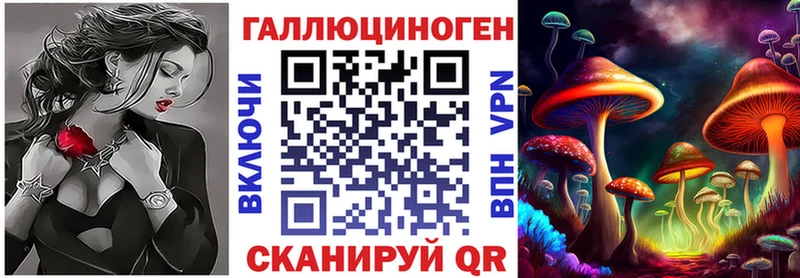 блэк спрут вход  Велиж  Псилоцибиновые грибы мицелий 